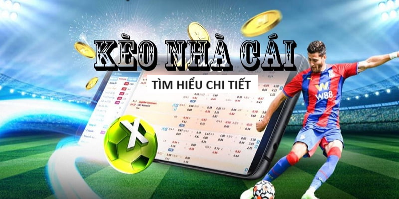 24h Keo Nha Cai Cập Nhật Liên Tục Không Ngừng